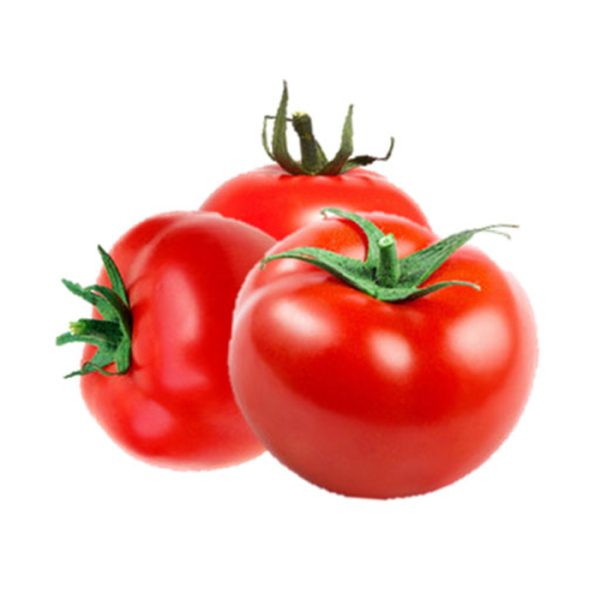 گوجه 8320