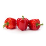 عکس فلفل دلمه رنگی نیروینnirvin