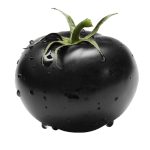 عکس گوجه فرنگی سیاه - گوجه مشکی